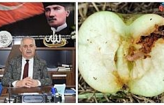 Müdür Görentaş’tan elma üreticisine uyarı