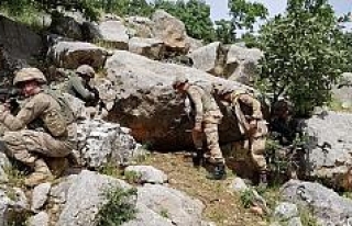 Siirt’te toprağa gömülü PKK’ya ait mühimmat...