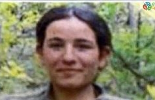Tunceli’de 4 terörist öldürüldü