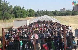 4 yılda 400 bin Suriyeli bayram için ülkesine gitti