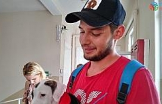 Sarıyer’de bir seçmen yavru köpeği ile oy kullandı
