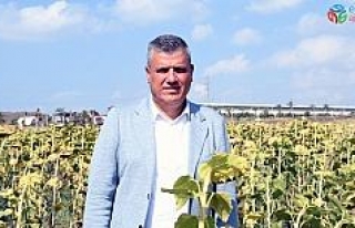 CHP’li Barut: "Üreticiye destek verecek tarımsal...