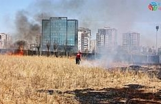 Diyarbakır’da anız yangınları bitmiyor