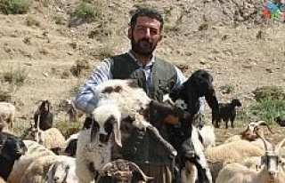 İran’dan gelip 3 bin 200 TL karşılığında çobanlık...