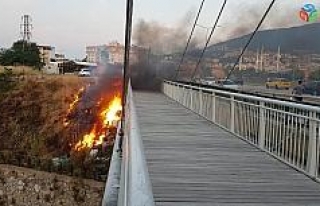 Köprü alev alev yandı