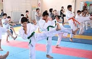 Sivas’ta karate yaz okulu devam ediyor