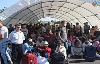 Suriyelilerin vatan özlemi izdihama dönüştü
