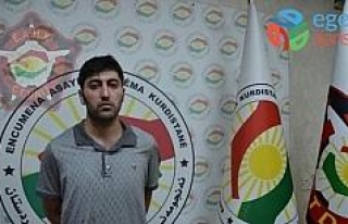 Türk diplomatı şehit eden 4 terörist Kuzey Irak’ta...