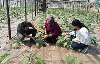 Antalya’da 10 bin 484 çiftçiye biyolojik mücadele...