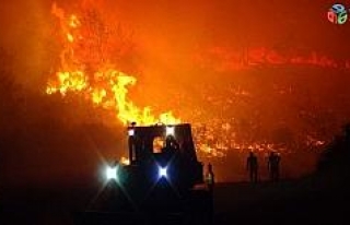 Antalya’da korkutan orman yangını kontrol altına...