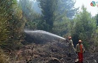 Antalya’da orman yangını, 1 hektar orman zarar...