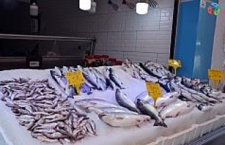 Karadeniz’de balıkçılar sezonu iple çekiyor