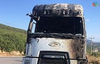 Park halindeki kamyon alev alev yandı