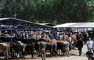 Simav’da kurban pazarı açıldı