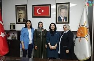 Zeytun Şener kadın kolları başkanlığına getirildi