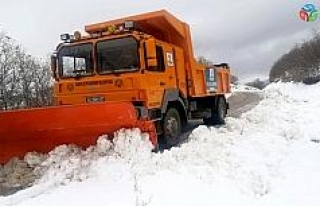 Konya Büyükşehir Belediyesi, kar ve buzlanmaya...