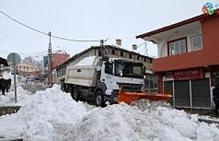 Başkale Belediyesi bin 500 kamyon kar taşıdı