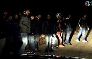 Edirne’de mülteciler Yunanistan sınırına akın...