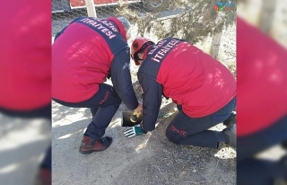 Kuyuda mahsur kalan yavru köpekler kurtarıldı