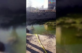 Ankara’da gölete giren 13 yaşındaki çocuk hayatını...