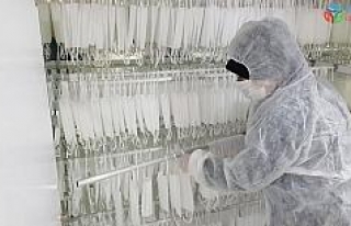 Karabük Belediyesi ürettiği 350 bin maskeyi iyonize...