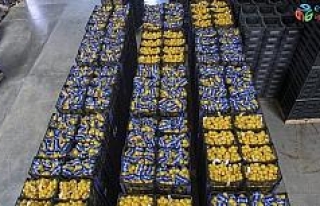 Mersin’den İstanbul’a 20 ton limon daha gönderildi