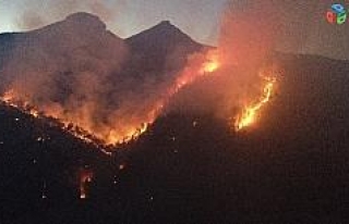 Adana’daki orman yangını havadan görüntülendi