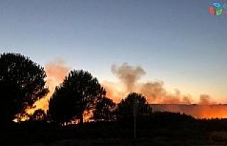 Bozcaada’da korkutan yangın