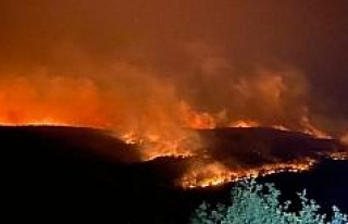 Bulgaristan’daki orman yangını Türkiye sınırına...