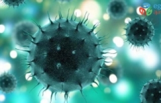 Beklenen Sorunun Cevabı: Koronavirüs İnsan Yapımı...