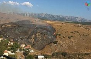İzmir’de otluk alanda çıkan yangın kontrol altında