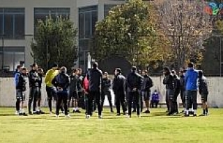 Horozlar, Fenerbahçe hazırlıklarına başladı