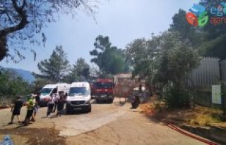 Marmaris’te orman yangını: Bir itfaiye eri şehit!