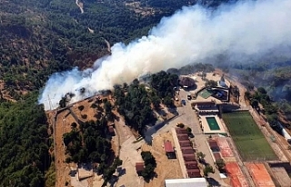 İzmir'de orman yangını!