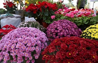 Karşıyaka ‘Sonbahar Çiçek Festivali’ ile renklendi