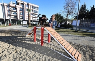Gaziemir’de köpeklere özel park açıldı