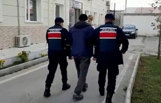 İzmir'de jandarmadan terör operasyonu: 14 gözaltı