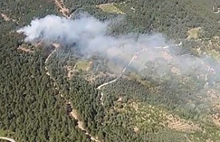 İzmir'de ormanlık alanda yangın