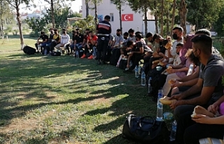 İzmir'de 278 düzensiz göçmen ve 4 organizatör...