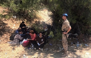 İzmir'de kaçak göçmen operasyonu: 143 göçmen...