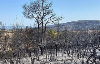 Orman yangını 13,5 saat sonra kontrol altında