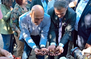Beydağ, Çomaklar’daki Kestane Festivali ile Şenleniyor