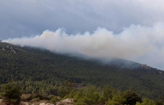 İzmir'de iki ilçede orman yangını