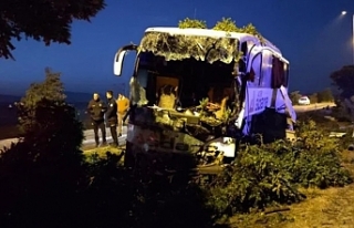 Yolcu otobüsü kontrolden çıktı: 16 yaralı
