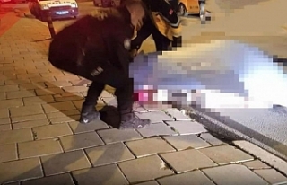 İzmir'de kadın cinayeti: 'Polis kan izlerini...