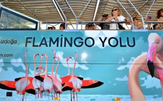 Flamingo Yolu turu 4 binin üzerinde ziyaretçi ağırladı