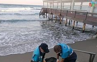 Sahil şeritlerinde temizlik çalışmaları hız kesmeden sürüyor