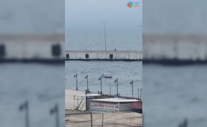 Sinop’ta denize düşen otomobilin sürücüsü kendi imkanlarıyla sudan çıktı